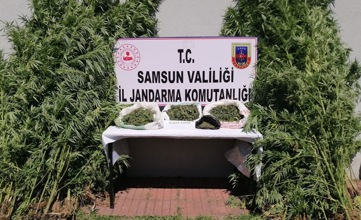 Jandarmadan uyuşturucuya geçit yok