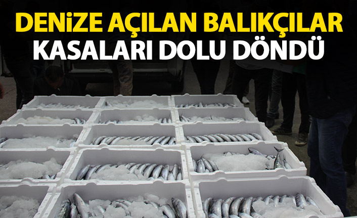 Denize açılan balıkçılar kasaları dolu döndü