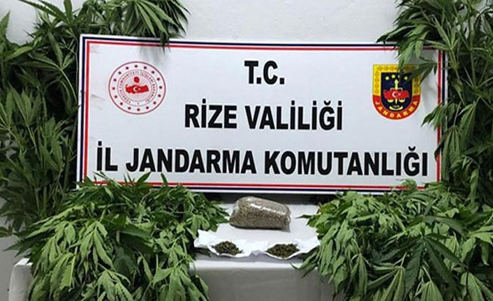 Rize'de Hint keneviri ele geçirildi 03 Eylül 2020