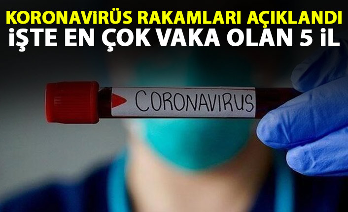 Günlük koronavirüs rakamları açıklandı! İşte en çok hasta bulunan 5 il