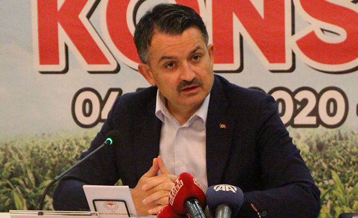 Bakan Pakdemirli Rize'de konuştu: Pandeminin hayır da getirdi