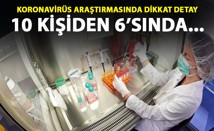 Koronavirüs araştırmasında dikkat çeken detay! Her 10 kişiden 6'sı...