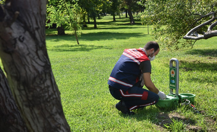 Can dostlar için mama ve su kabı