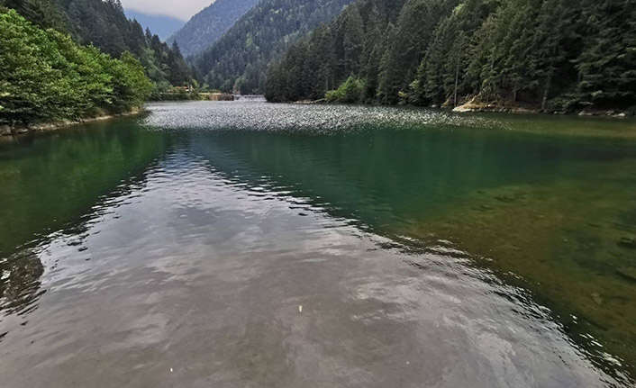 Uzungöl'ü koruyor! Onarım yapılacak