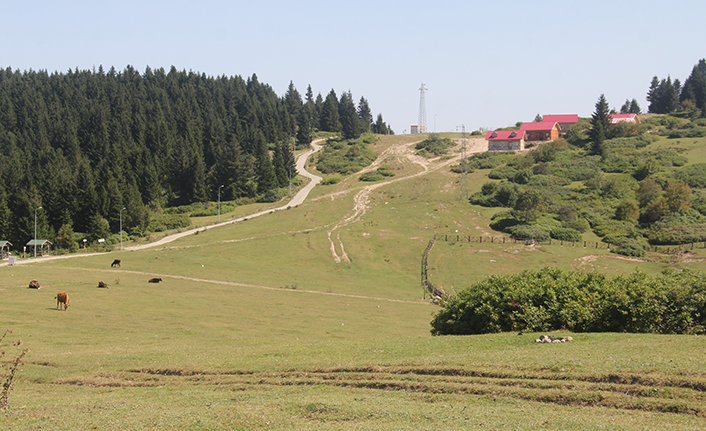 Giresun'da yaylada mahalle kültürü