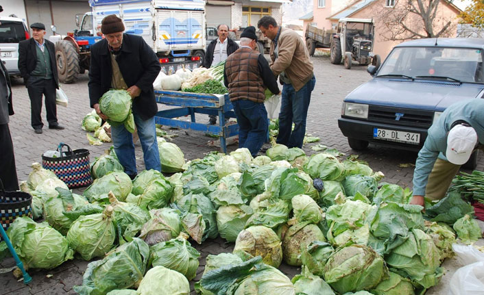 Pancar üretimi yüz güldürecek