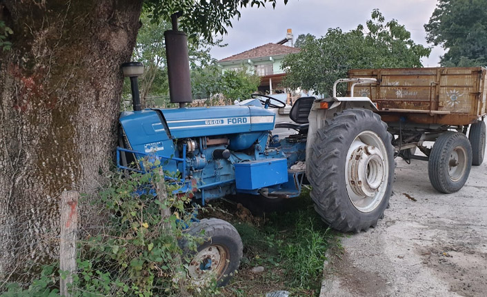 Arının soktuğu sürücü kaza yapıp hayatını kaybetti