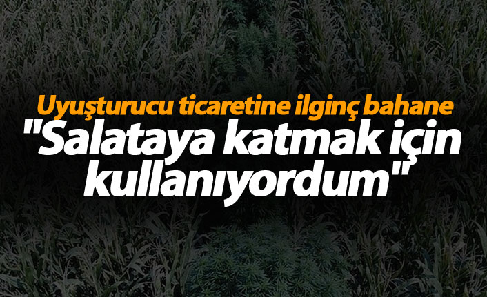 Uyuşturucu ticaretinde ilginç bahane: "Salataya katmak için kullanıyordum"