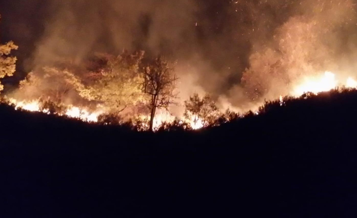 Düzce’de orman yangınına müdahale sürüyor