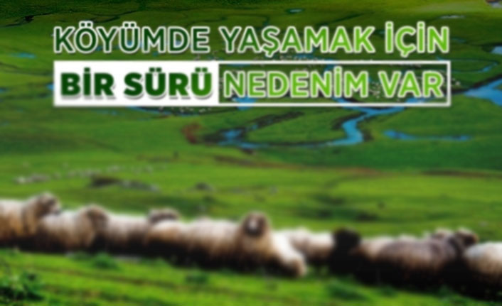 "Köyümde Yaşamak İçin Bir Sürü Nedenim Var" Projesi