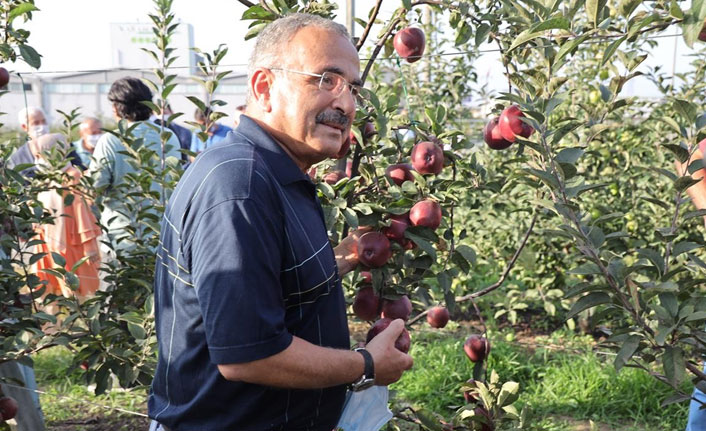 ODÜ meyve bahçesinde hasat şenliği