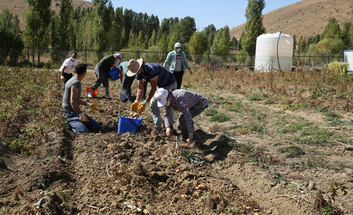 Bayburt Üniversitesinde tarım seferberliğinin meyveleri toplanıyor