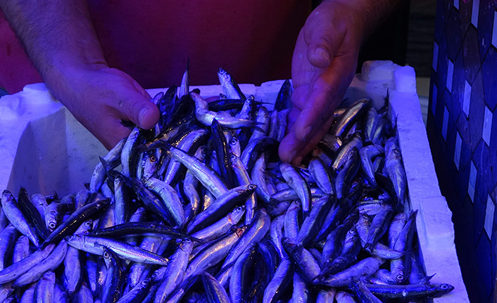 Trabzon'da hamsi tezgâhtaki yerini aldı