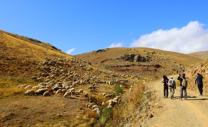 Köyodaları için 18 km yürüdüler