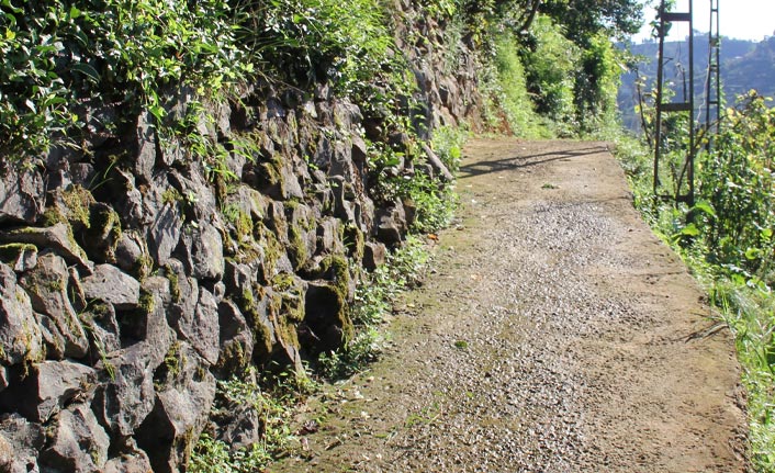 Karadeniz'de yol sorunlarının kaynağı komşular