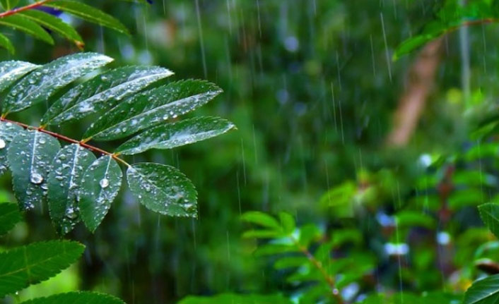 Meteoroloji Samsun ve Ordu'yu uyardı