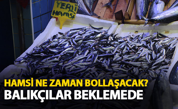 Hamsi ne zaman bollaşacak? Balıkçılar beklemede