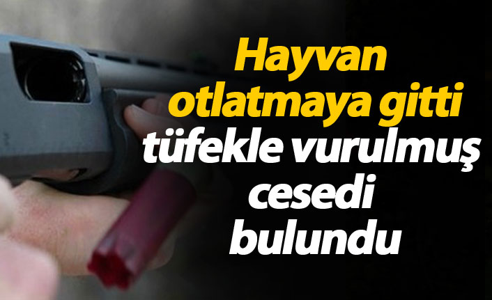 Hayvan otlatmaya gitti, tüfekle vurulmuş cesedi bulundu