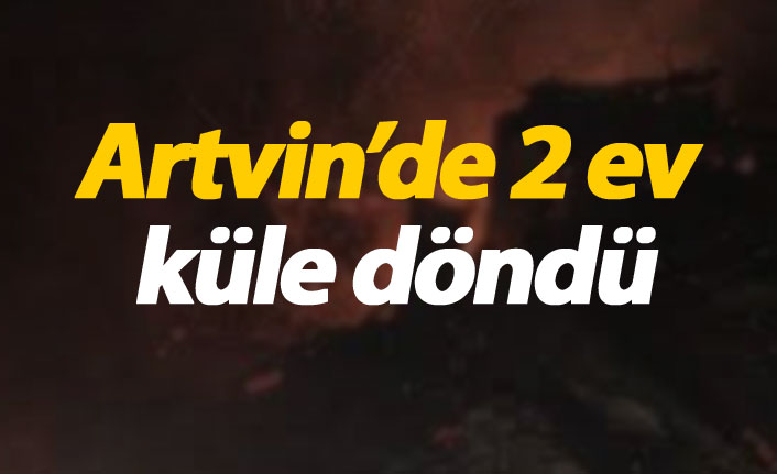 Artvin'de 2 ev küle döndü