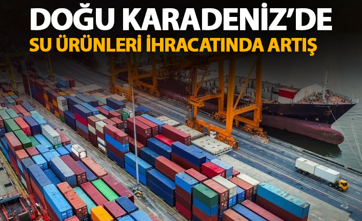 Doğu Karadeniz'de su ürünleri ihracatında artış