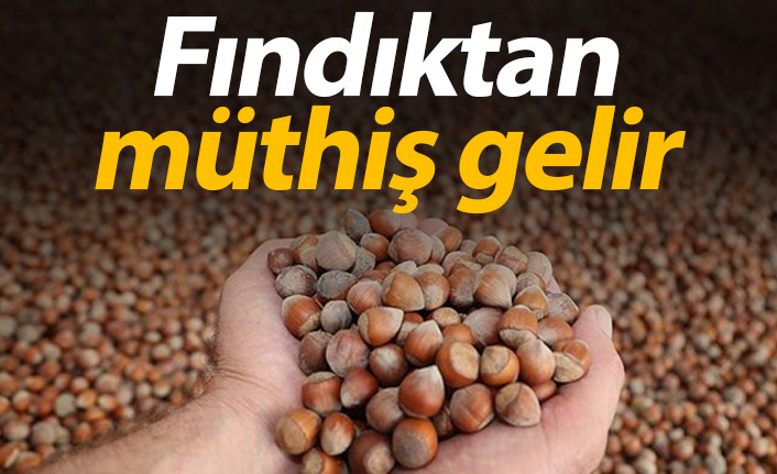 Fındıktan müthiş gelir!