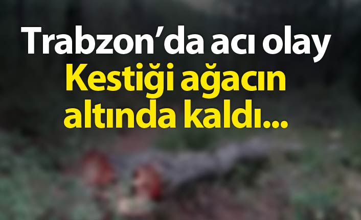 Trabzon'da acı olay! Kestiği ağacın altında kaldı...