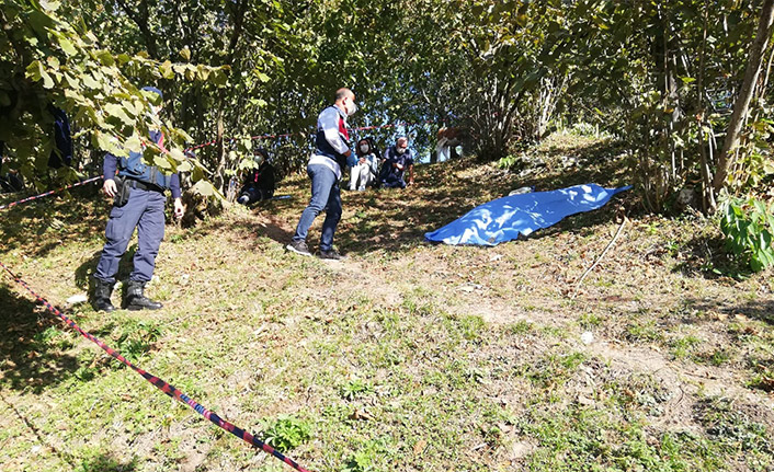 Ordu'da ağaçtan düştü hayatını  kaybetti