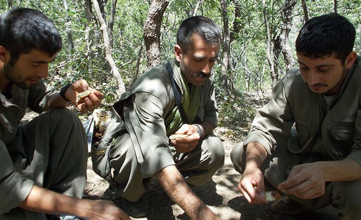 PKK'lı 4 terörist tutuklandı