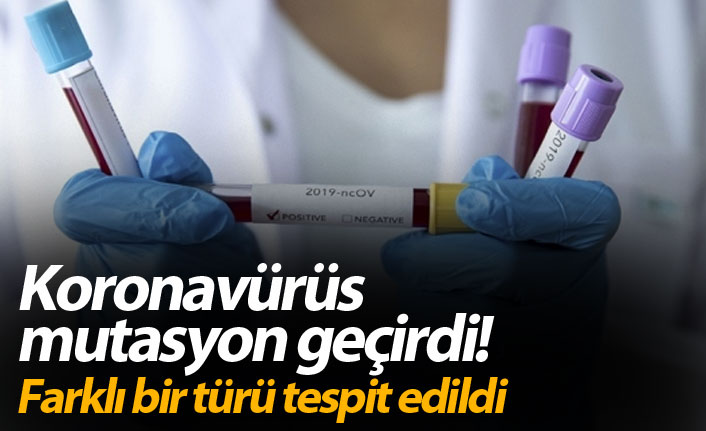 Koronavürüs mutasyon geçirdi! Farklı bir türü tespit edildi