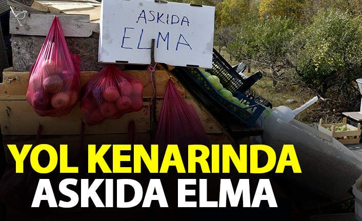 Gümüşhane'de yol kenarında ‘Askıda Elma’