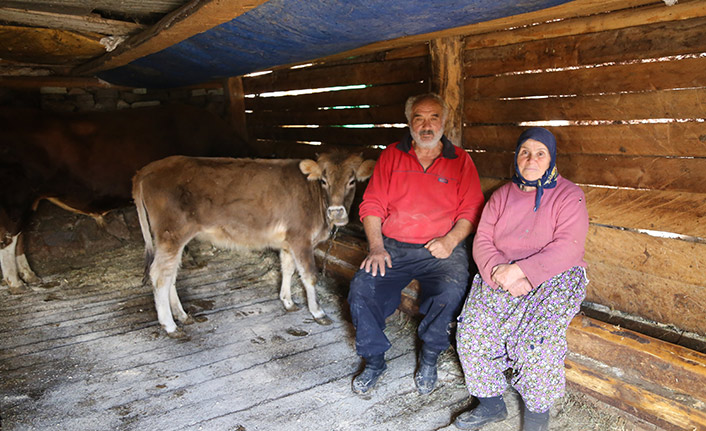 Devlet sayesinde çiftlik kurdular