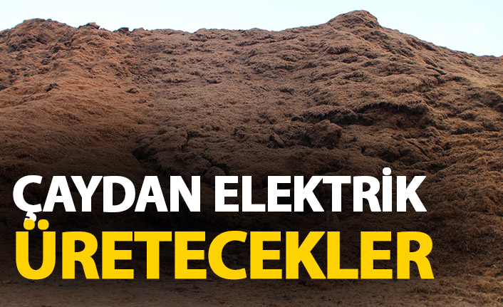 Çaydan elektrik üretecekler