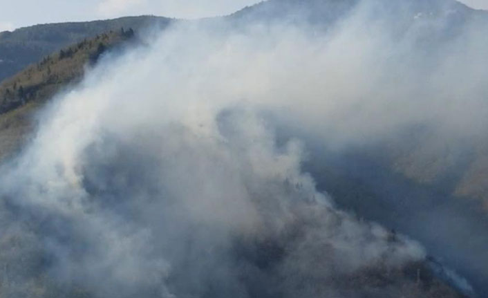 Giresun'da yangın! Fındık bahçesinden ormanlık alana...