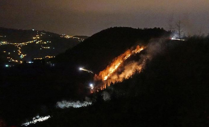 Trabzon'da iki farklı noktada yangın