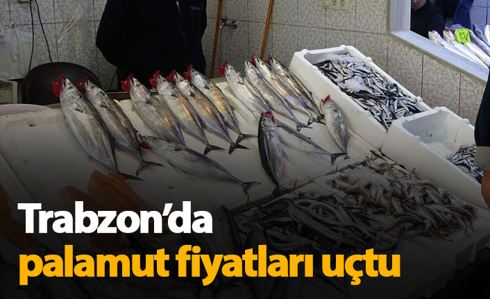 Trabzon'da palamut fiyatları uçtu