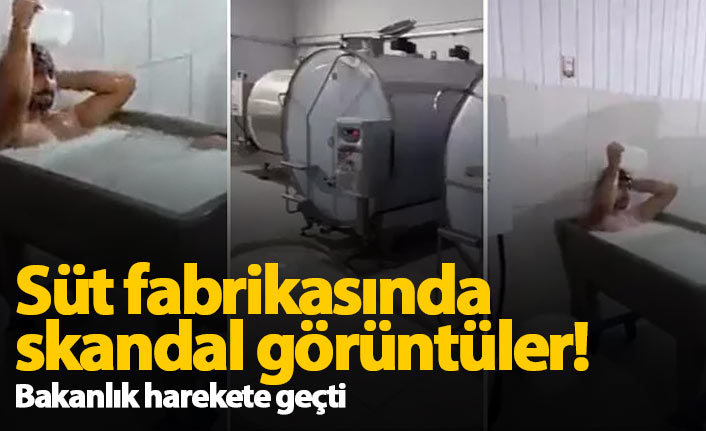 Süt fabrikasında skandal görüntü!