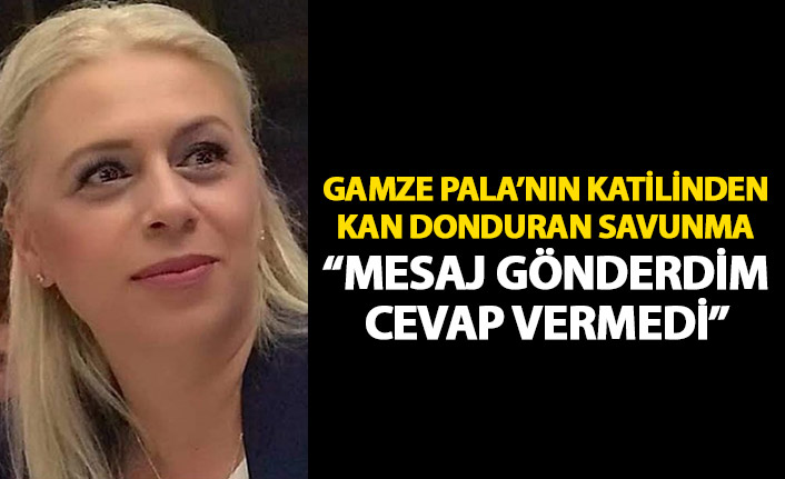 Gamze Pala'nın katilinden kan donduran eden ifade: Mesaj gönderdim cevap vermedi