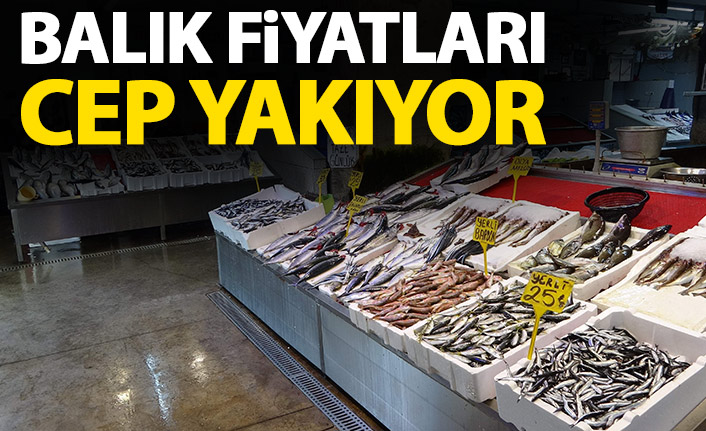  Balık fiyatlarının ateşi düşmedi