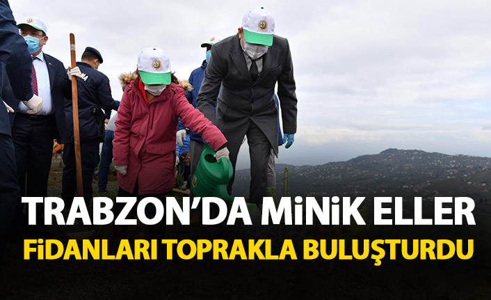 Trabzon'da Minik eller fidanları toprakla buluşturdu