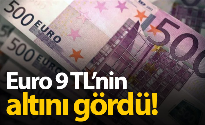 Dolar ve euro ne kadar oldu?