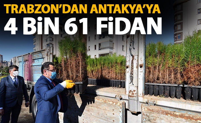 Trabzon'dan Antakya'ya 4 bin 61 fidan