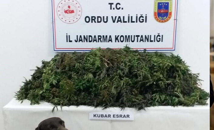  Ordu’da uyuşturucuya geçit yok