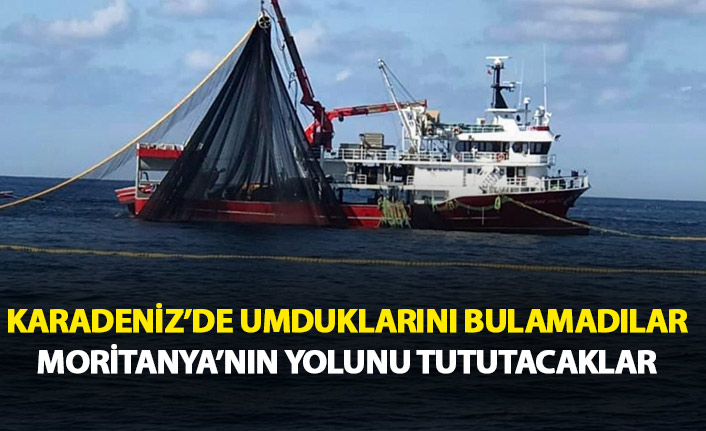 Karadeniz'de umduklarını bulamadılar Moritanya'nın yolunu tutacaklar