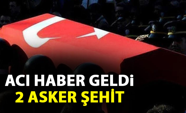 Milli Savunma Bakanlığı açıkladı: 2 asker şehit