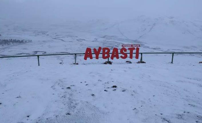 Ordu'da perşembe yaylası beyaza büründü