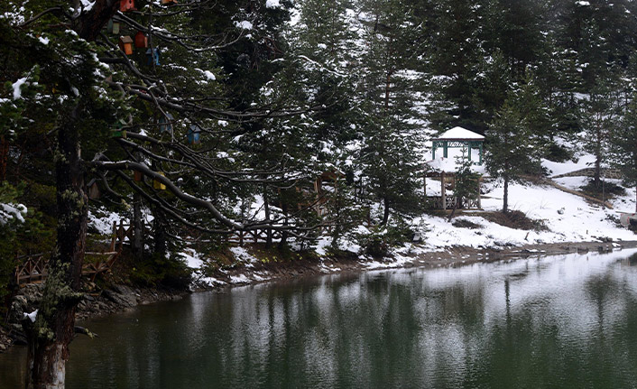 Doğu Karadeniz’de kar yağışı etkili oluyor