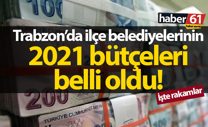 Trabzon'da ilçelerin 2021 yılı bütçeleri belli oldu