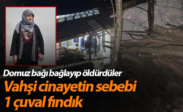 Ordu'daki vahşi cinayette yeni gelişme! Bakın ne için öldürdüler