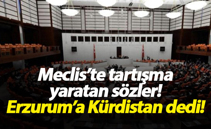 Meclisi karıştıran sözler! Erzurum'a Kürdistan dedi!