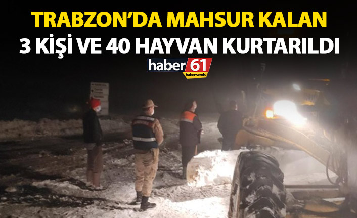 Trabzon’da karda mahsur kalan 40 hayvan kurtarıldı